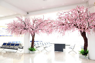 img-top-welcome_10.jpg
