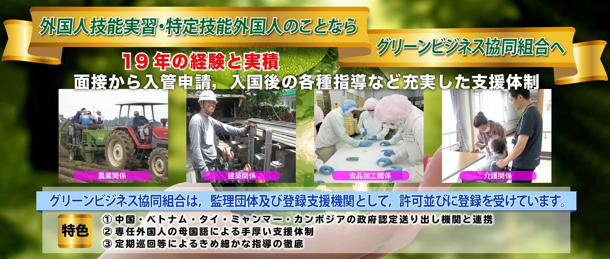 19年の経験と実績
